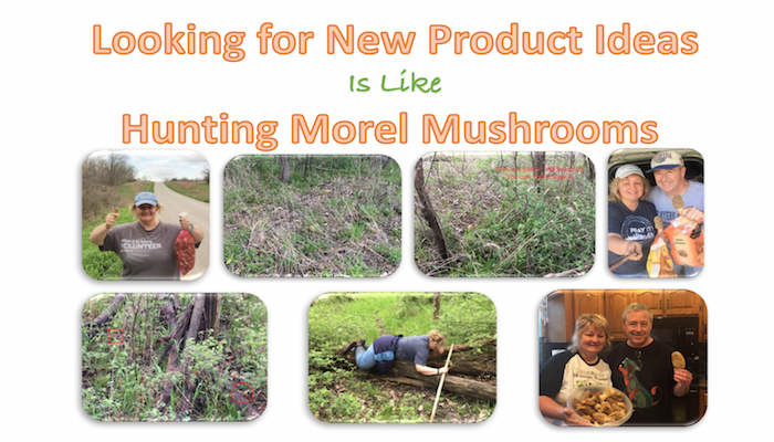 Hunting Morel Mushrooms
